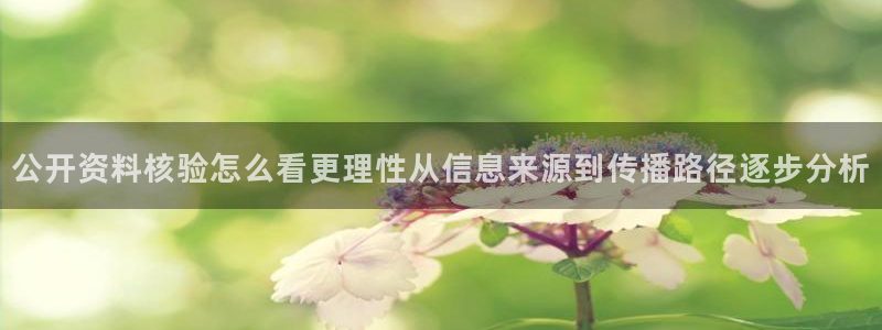911爆料热门事件