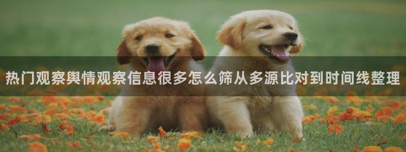吃瓜爆料网