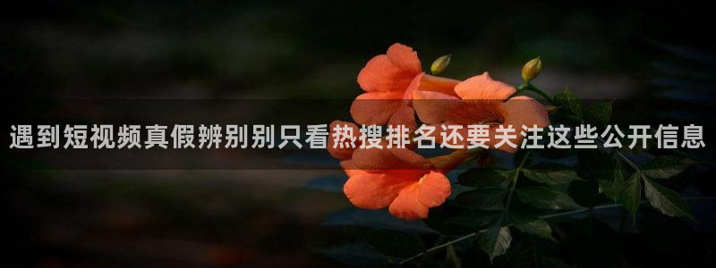 911吃瓜网络内容