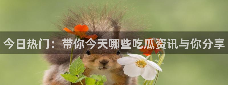 911吃瓜话题榜